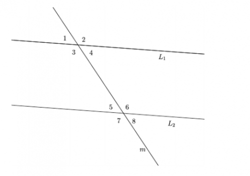 8th Grade Geometry Parallel Lines Cut By Transversal Exterior Angles Of